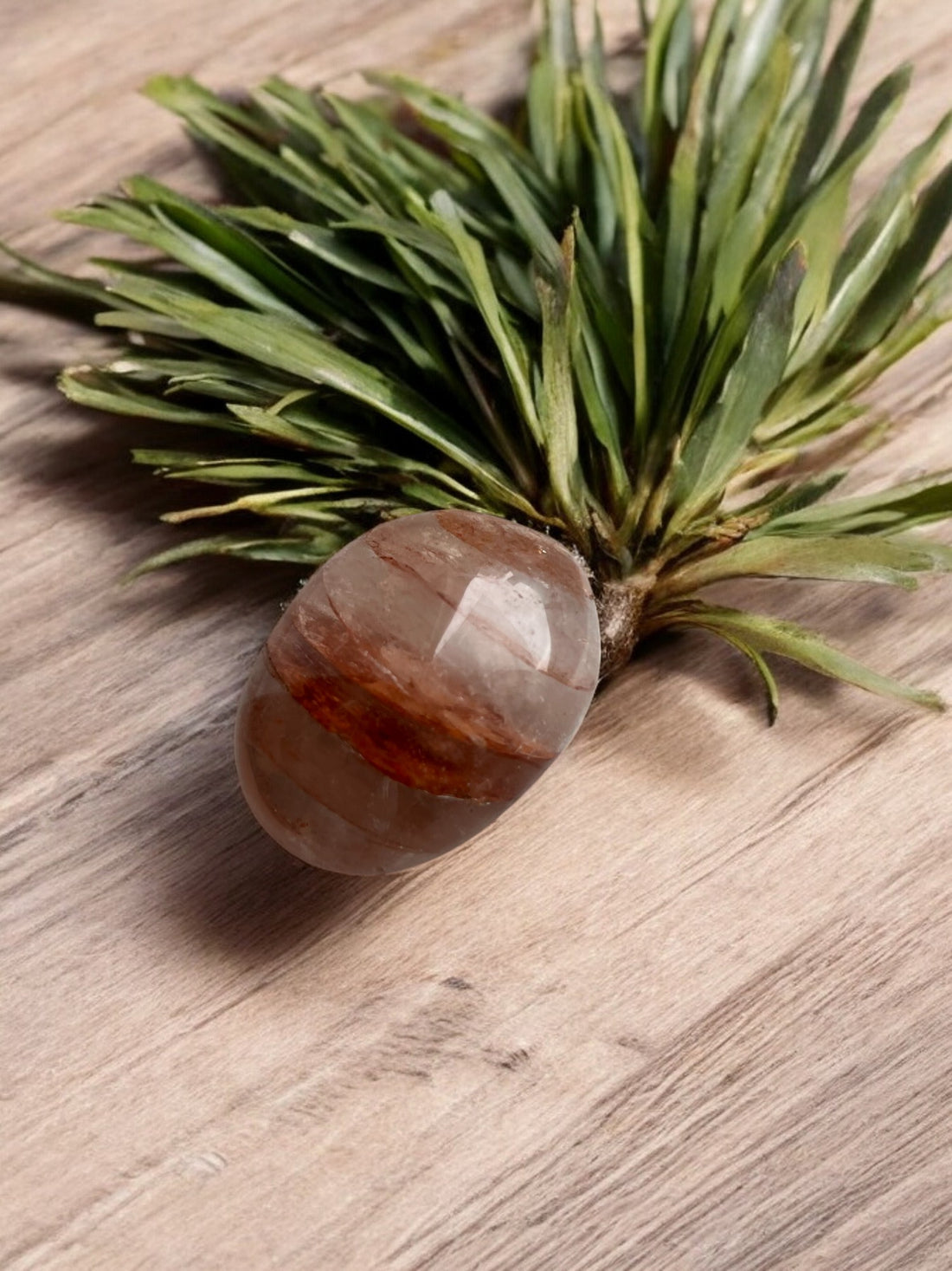 Nieuwe knuffelstenen