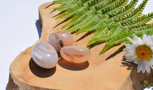 Bloemagaat trommelsteen