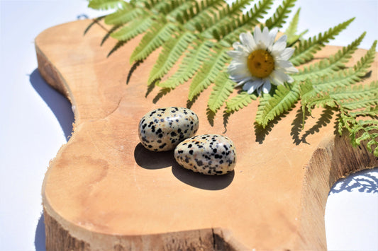 Jaspis dalmatiër trommelsteen