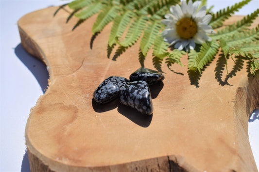 Obsidiaan sneeuwvlok trommelsteen