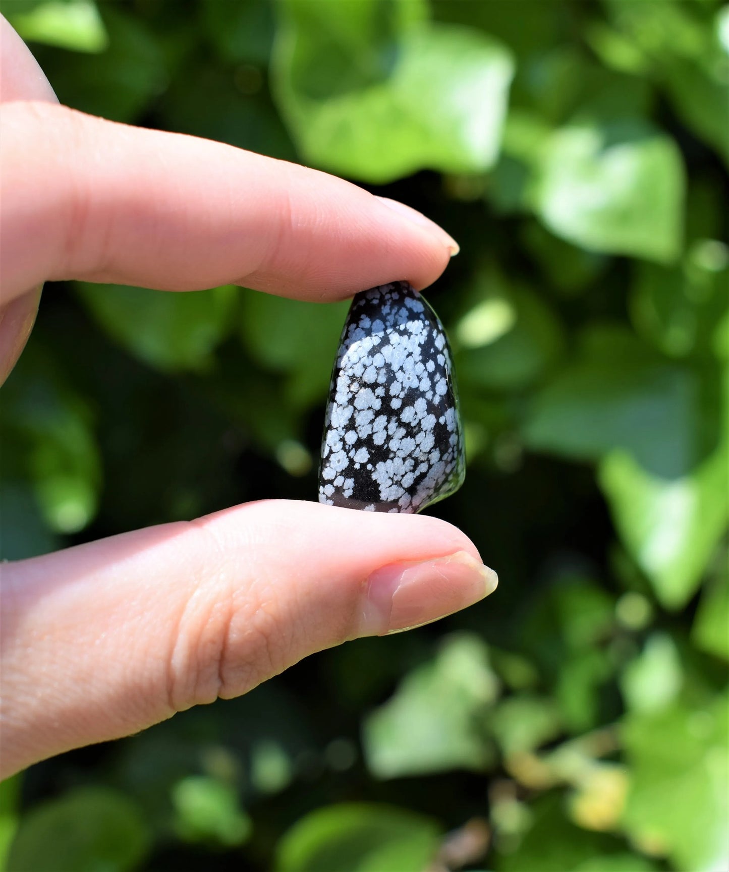 Obsidiaan sneeuwvlok trommelsteen