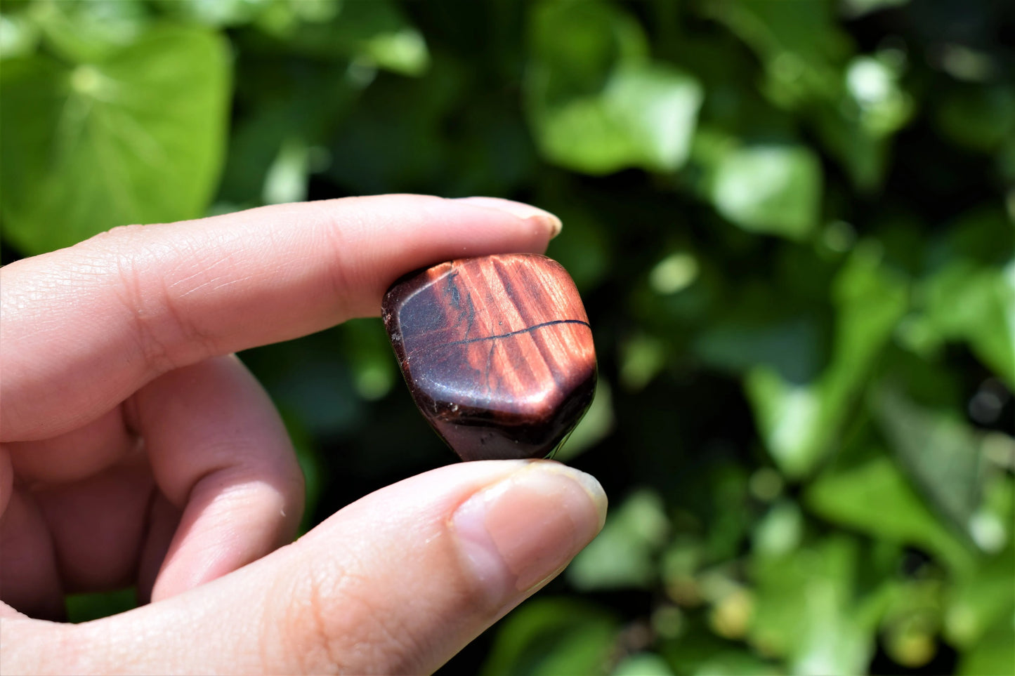 Rode tijgeroog trommelsteen