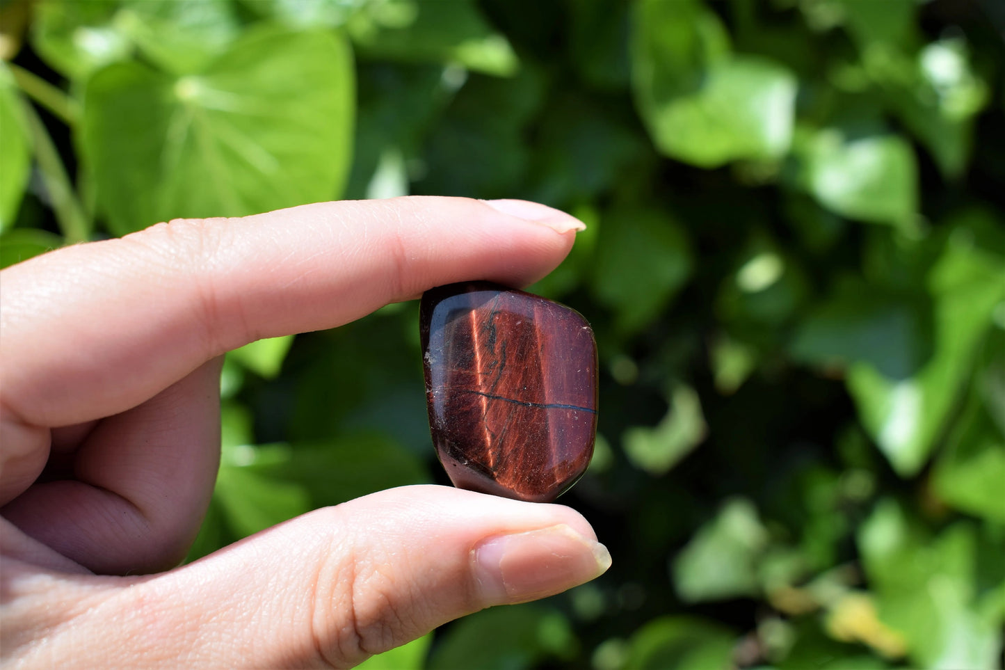 Rode tijgeroog trommelsteen