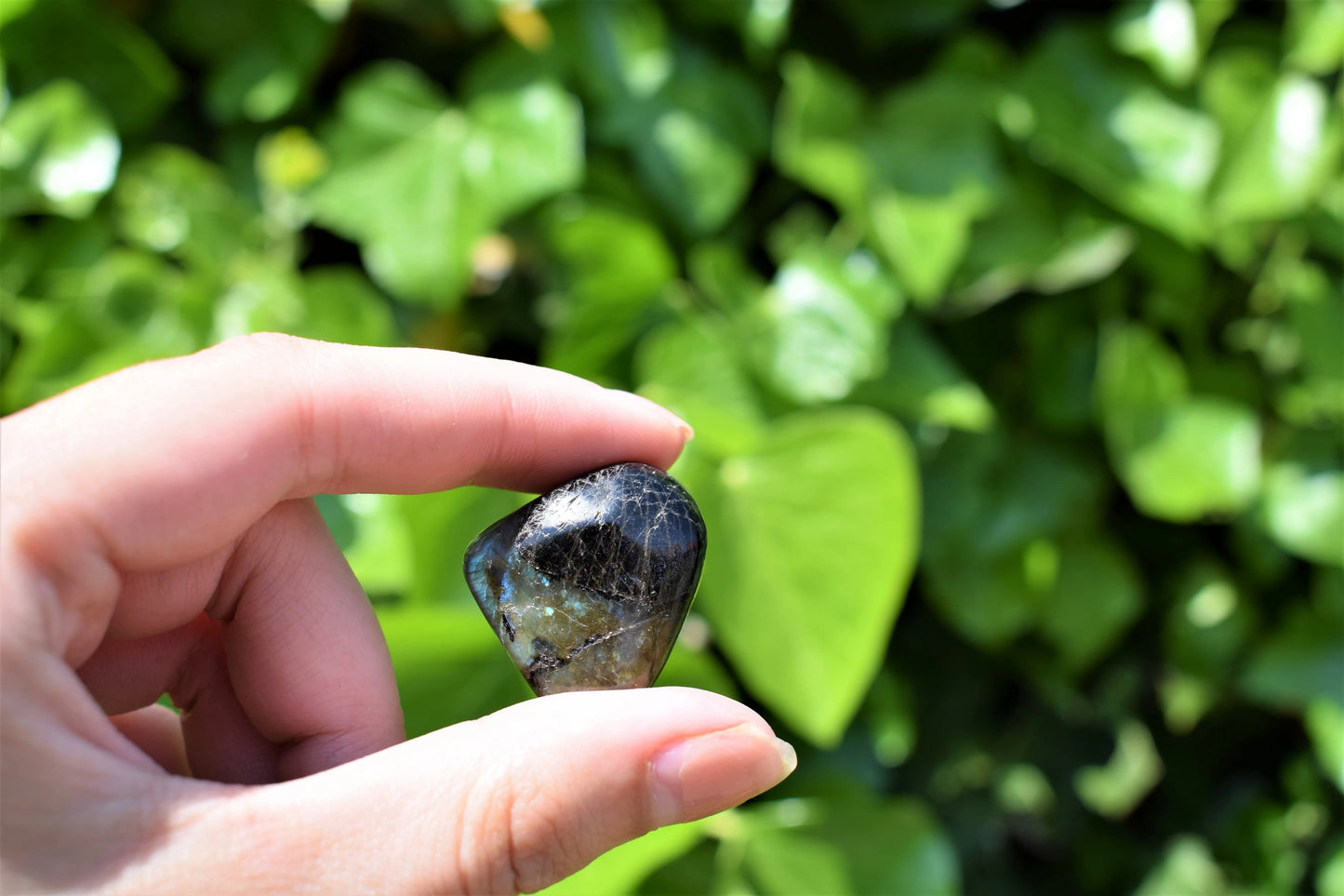 Labradoriet trommelsteen