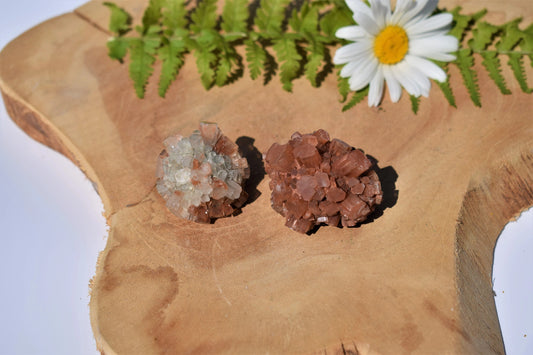 Aragoniet roosje (M)