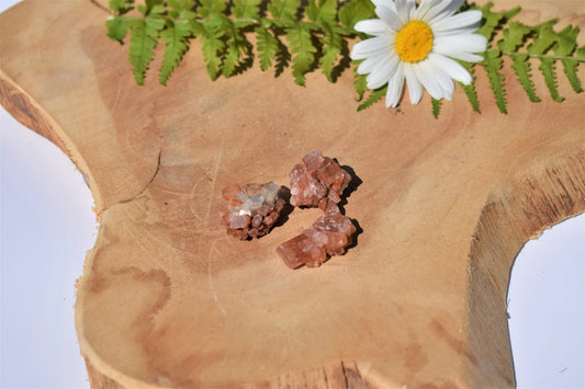 Aragoniet roosjes (xs)