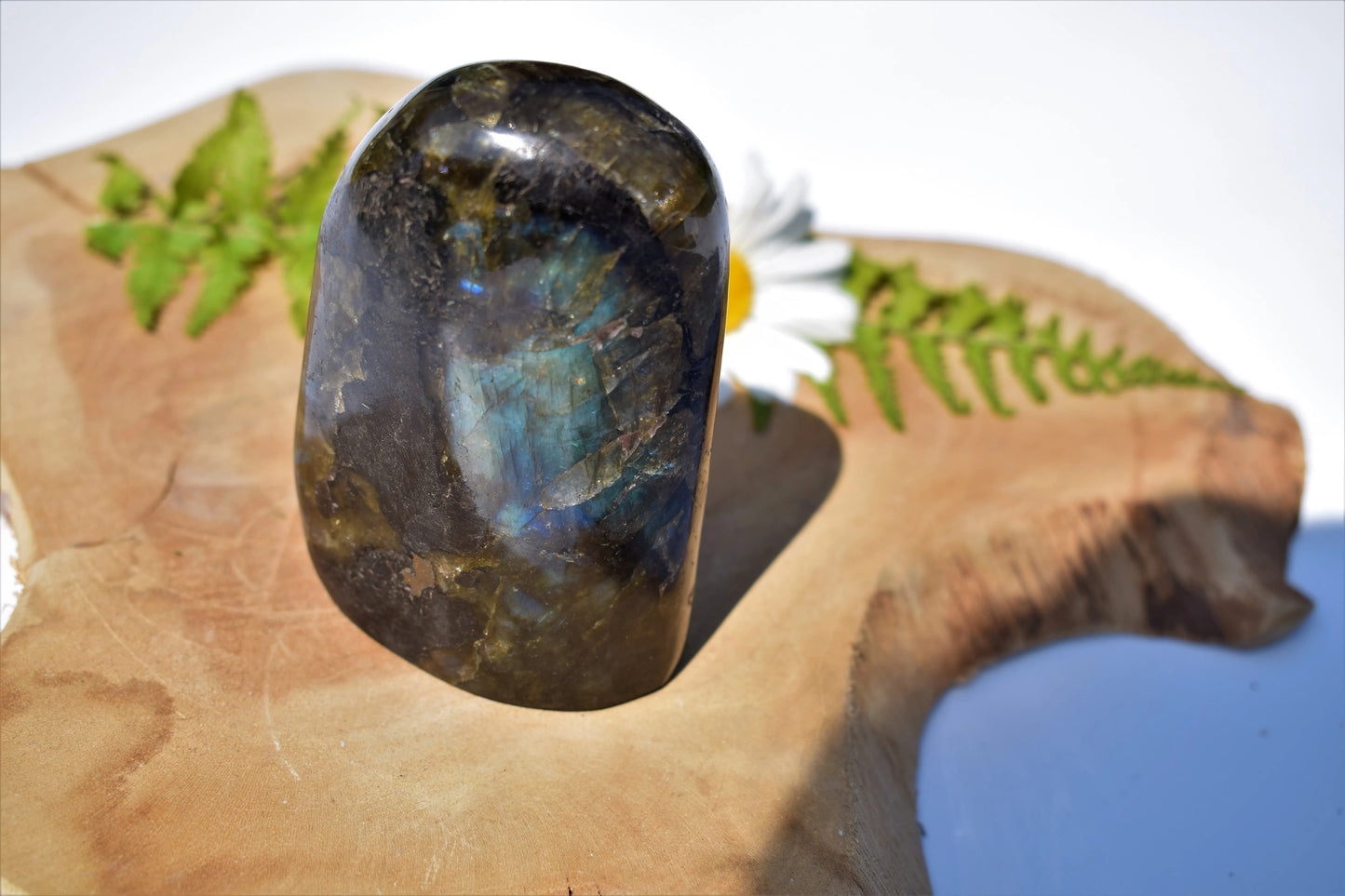 Labradoriet sculptuur #2 (groen blauwe flash)