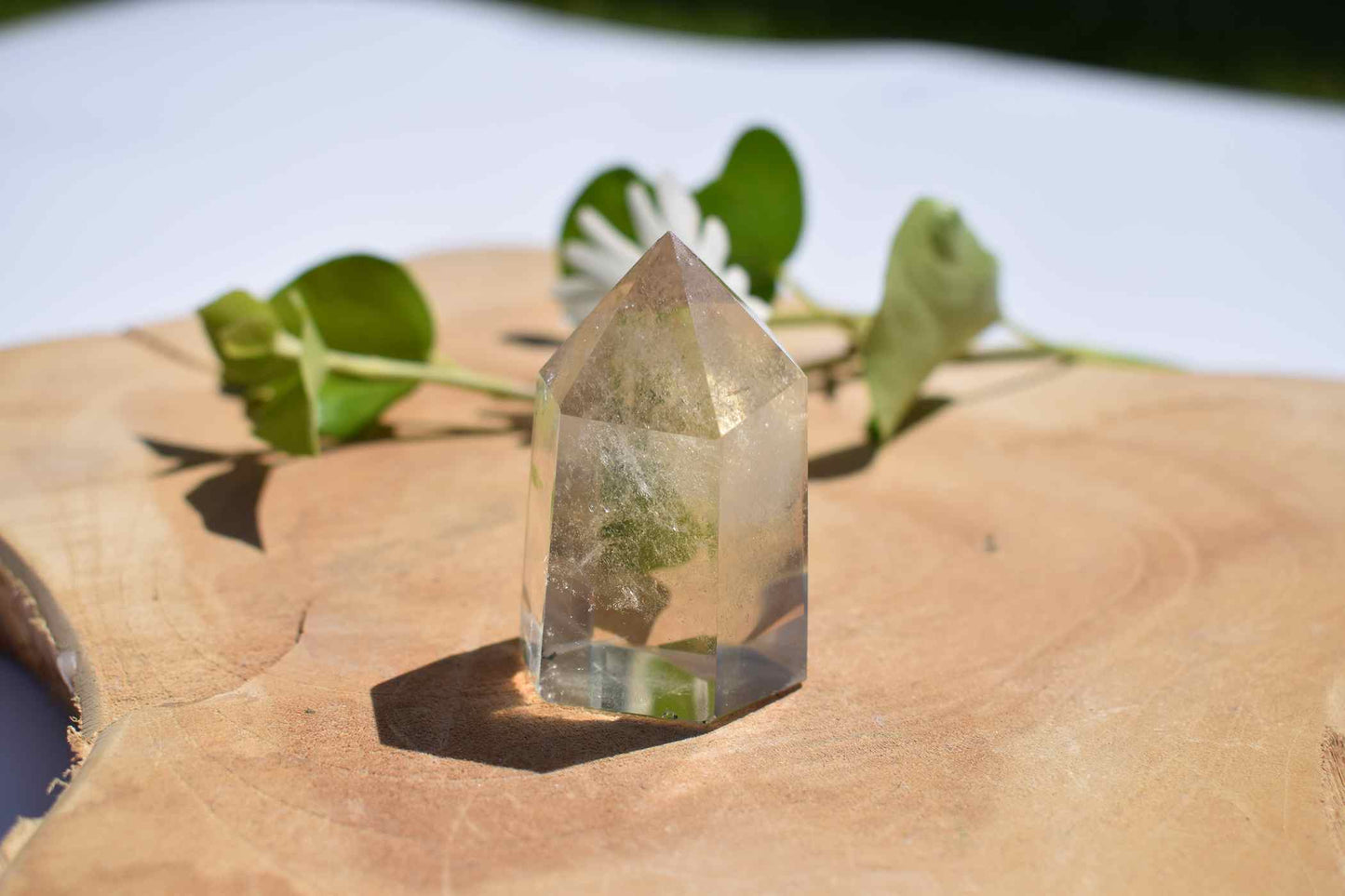 Citrien mini punt #3