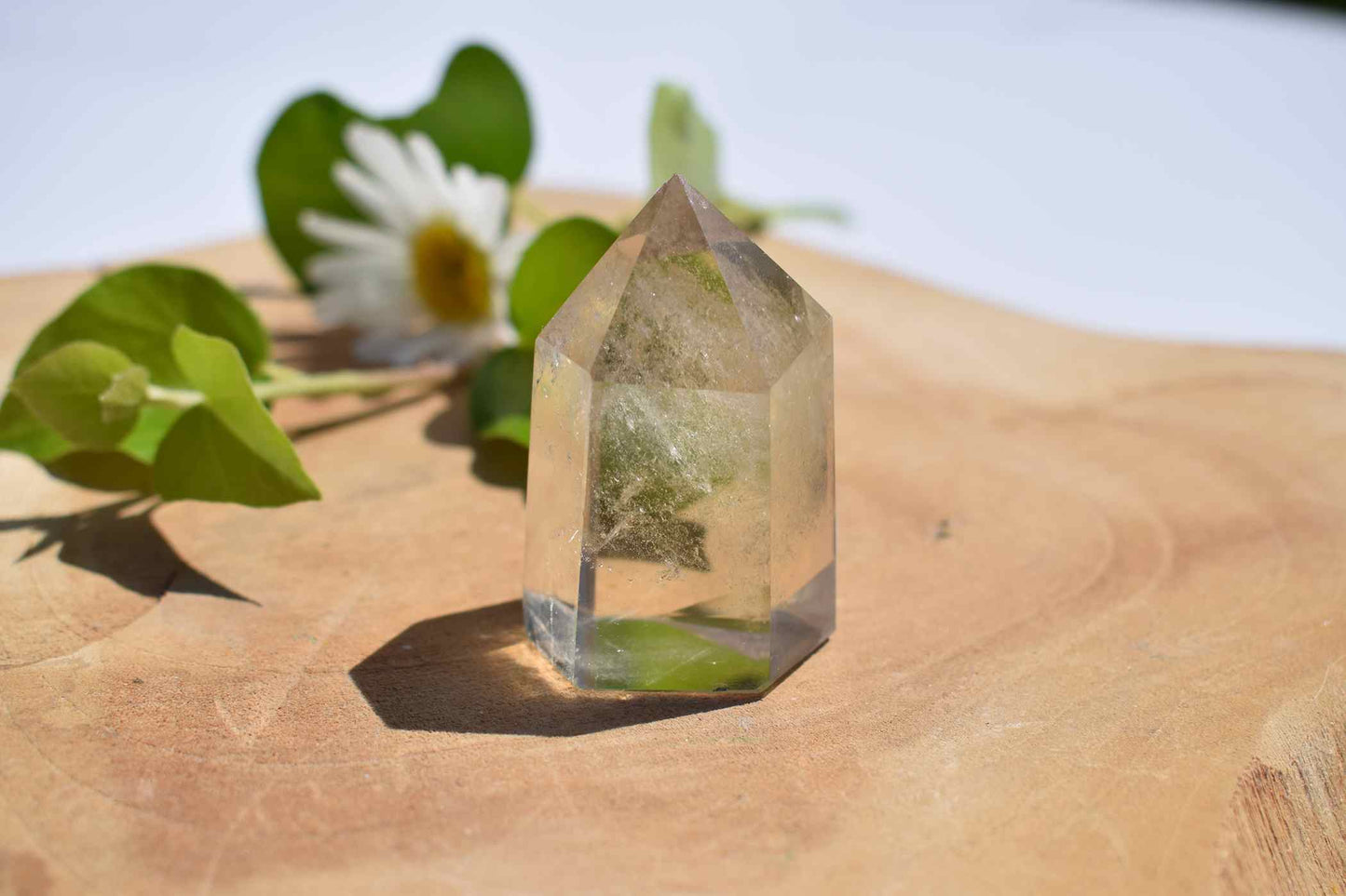 Citrien mini punt #3