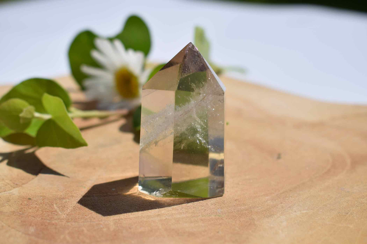 Citrien mini punt #3