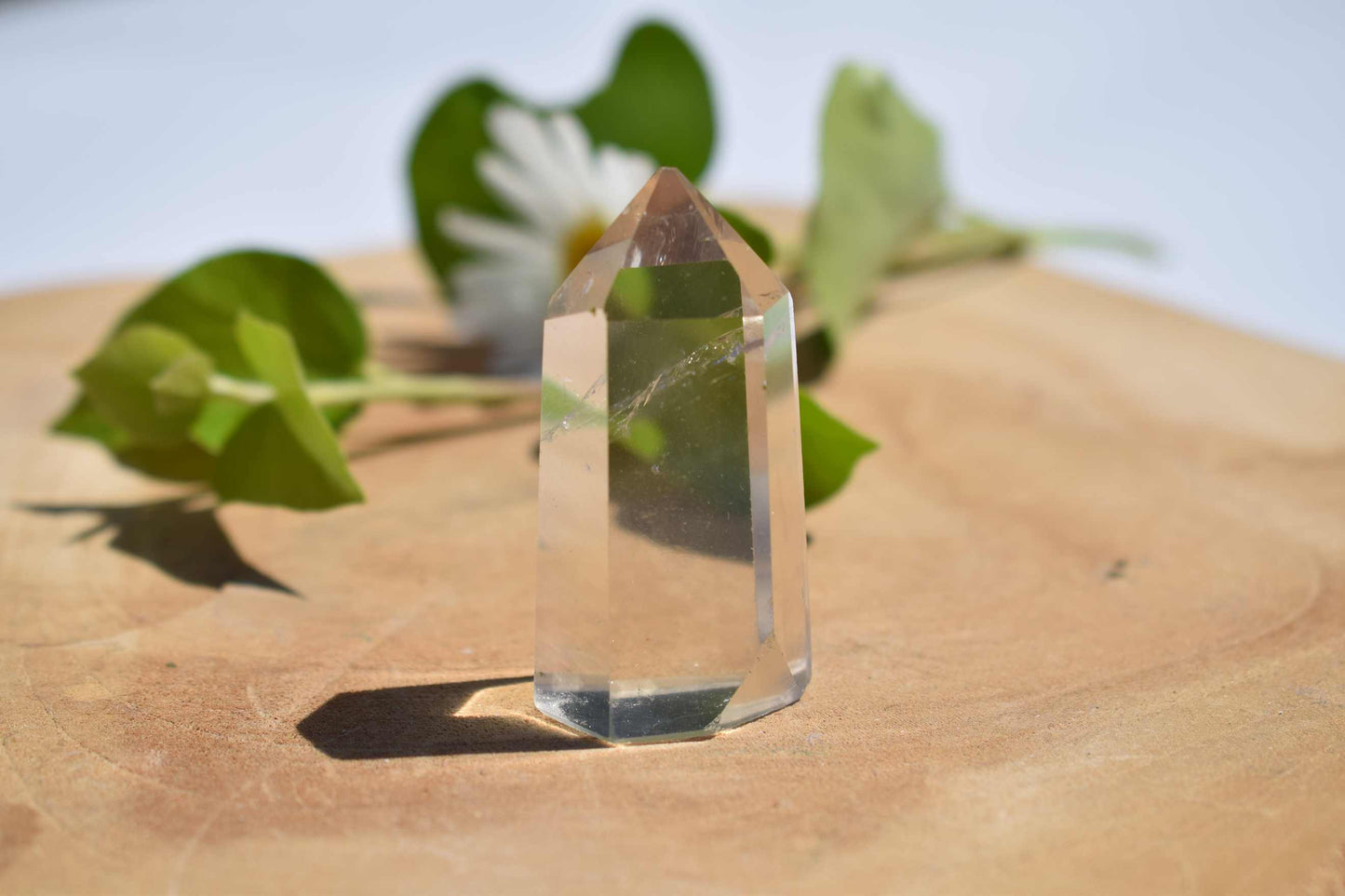 Citrien mini punt #2