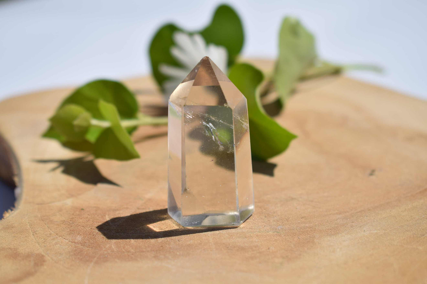 Citrien mini punt #2