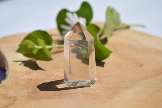 Citrien mini punt #2