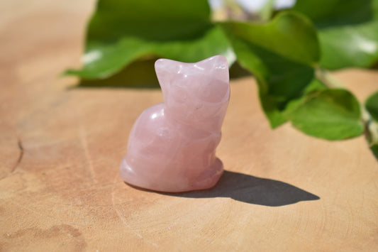 Rozekwarts figuurtje kat