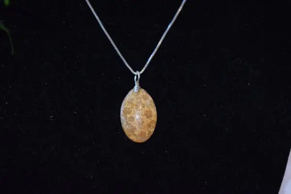 Fossiel koraal hanger