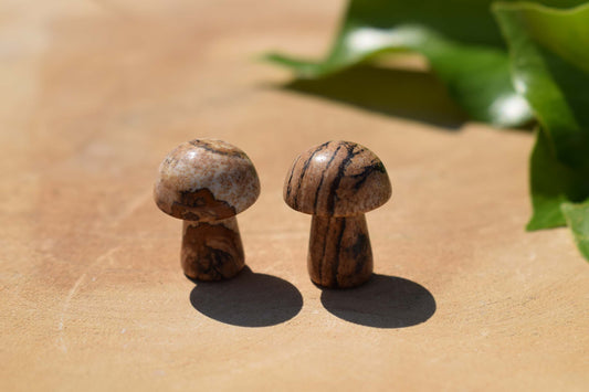 Picture jaspis figuurtje paddenstoel