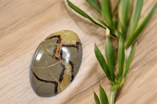 Jumbo Septarie Handsteen