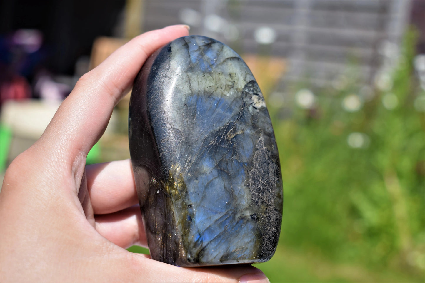 Labradoriet sculptuur #1 (mooie blauwe flash)