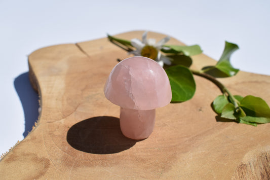 Rozekwarts paddenstoel