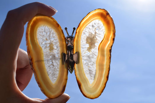 Vlinder van agaat (natuurlijk)