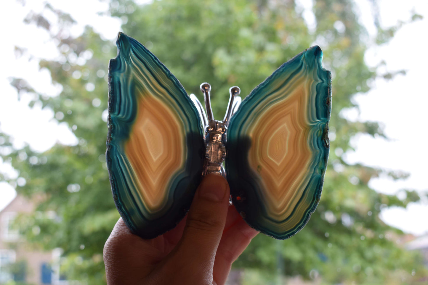 Vlinder van agaat (groen,blauw gekleurd)