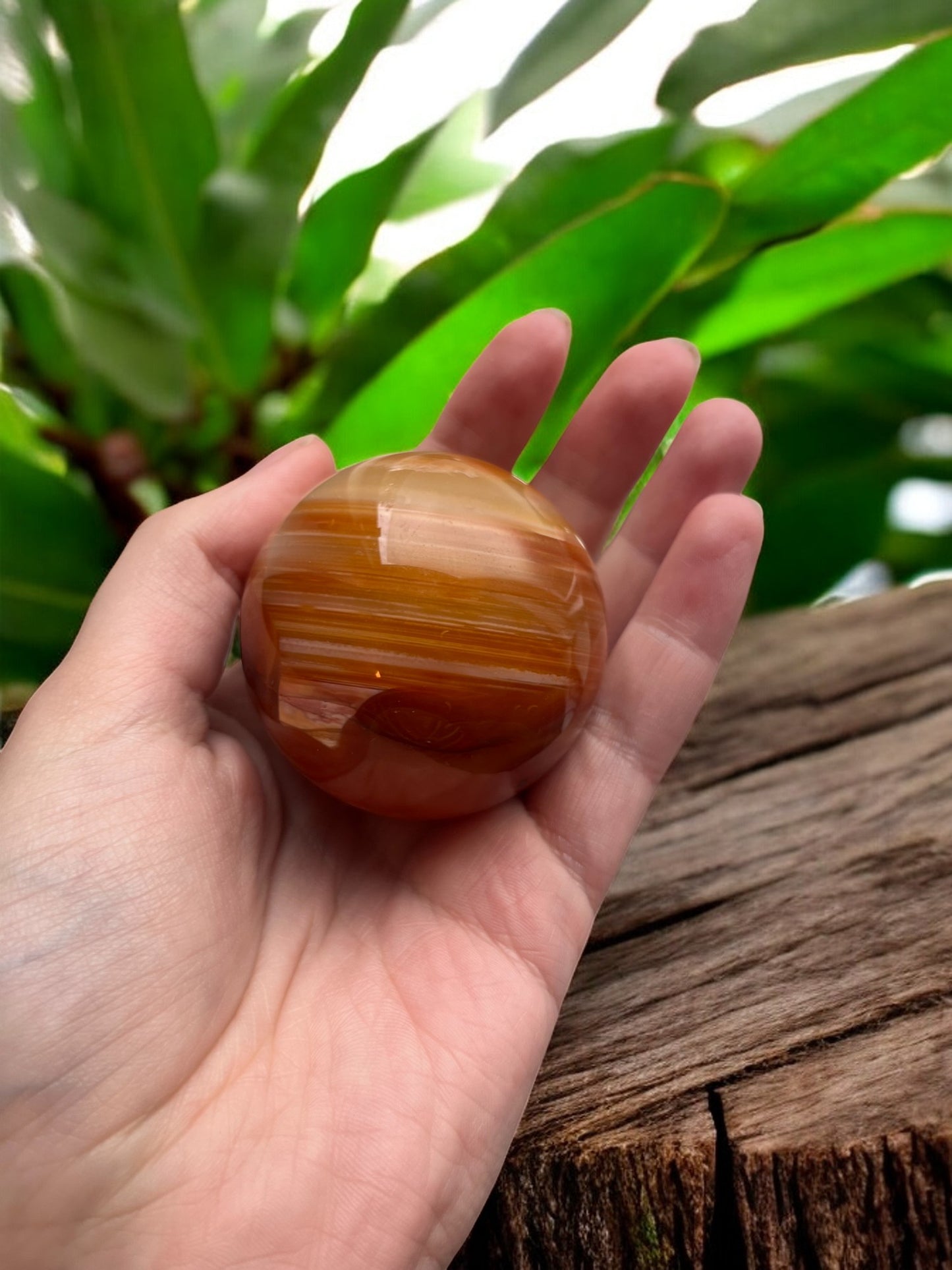 Carneool bol
